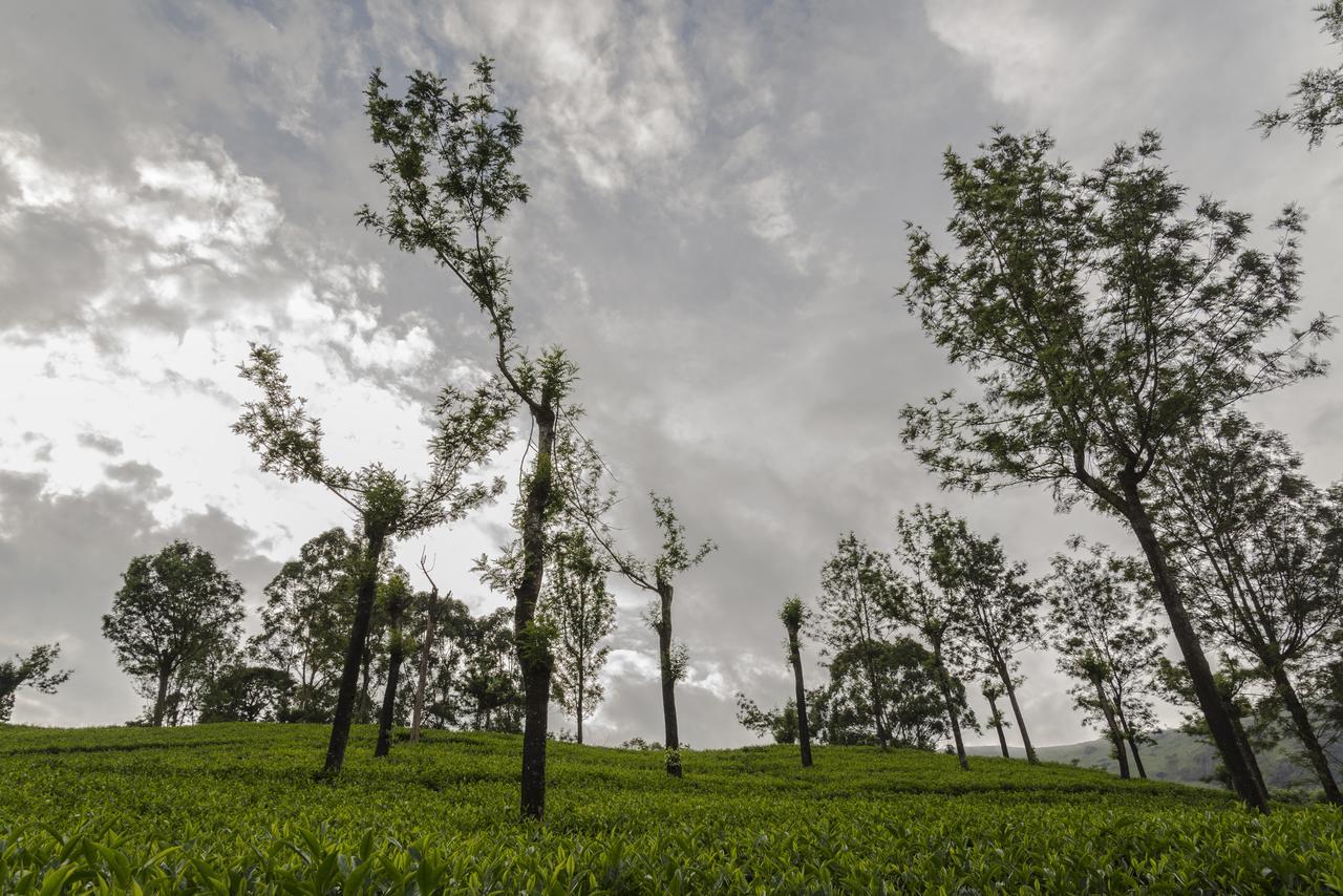 Mount Valley Resort - A Secluded Getaway Munnar Eksteriør bilde