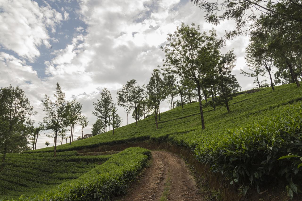 Mount Valley Resort - A Secluded Getaway Munnar Eksteriør bilde