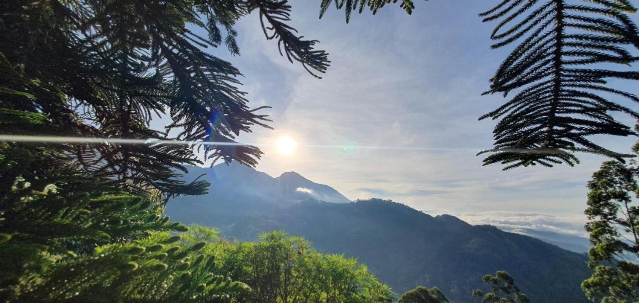 Mount Valley Resort - A Secluded Getaway Munnar Eksteriør bilde
